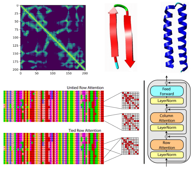 Deep learning on computational biology and bioinformatics tutorial: from  DNA to protein folding and alphafold2 | AI Summer