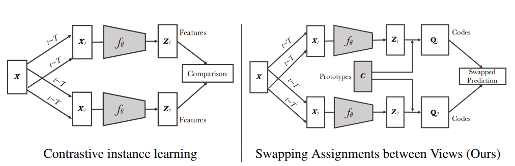 swav-vs-simclr
