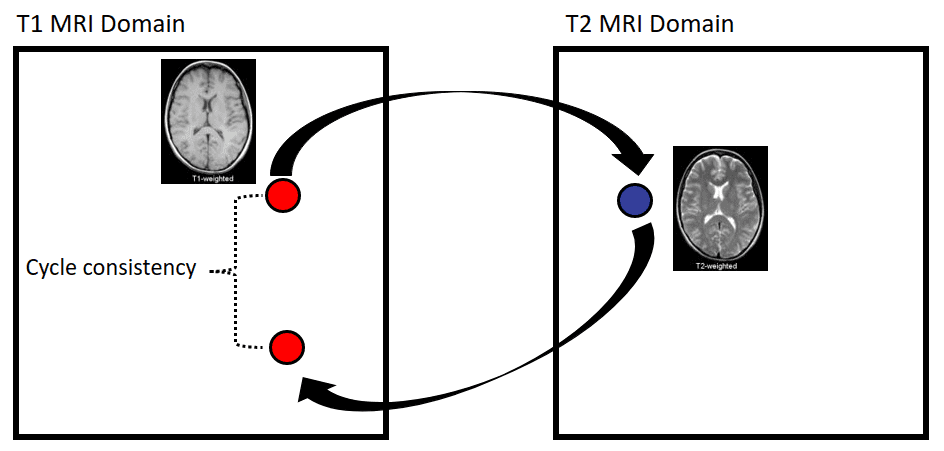 t1-t2-mri-domain