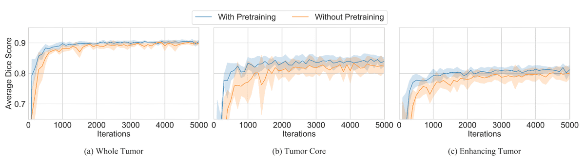 per-class-score-tumor-segmentation