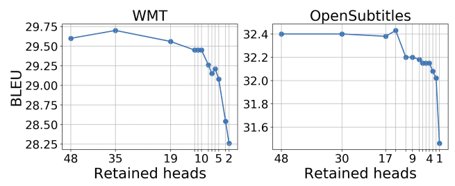 results-prunning-encoder-machine-translation-voita