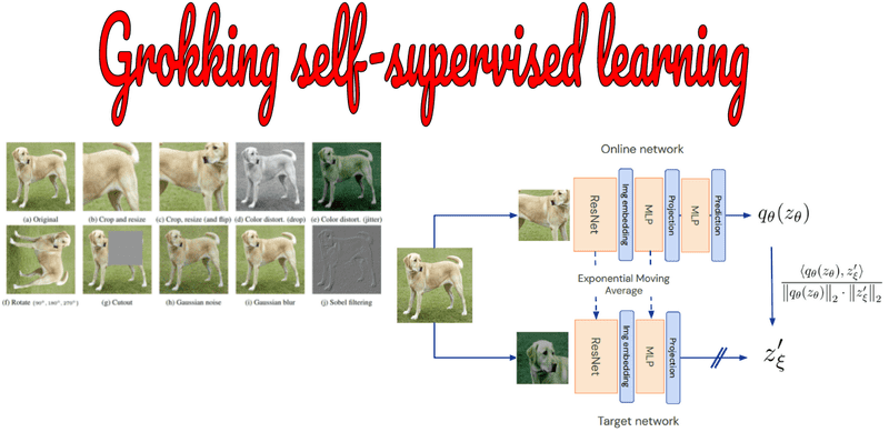 Grokking self-supervised (representation) learning: how it works in computer vision and why