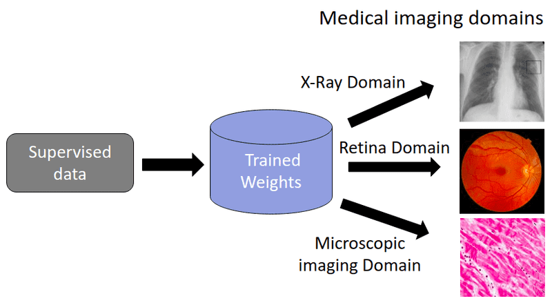 Transfer learning in medical imaging: classification and segmentation