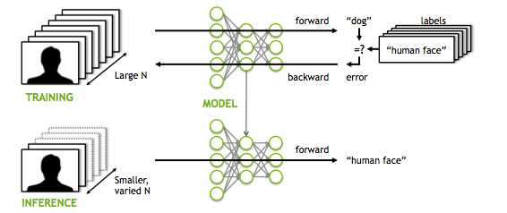 Neural Network from scratch-part 2