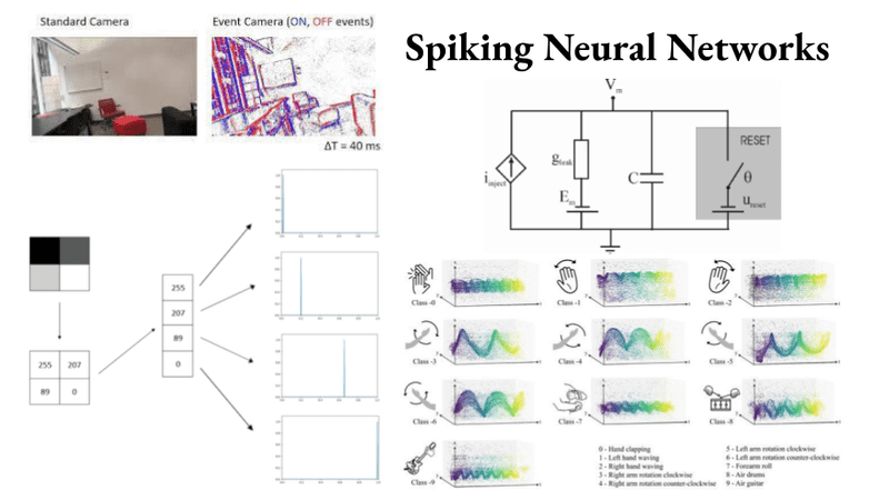 Spiking Neural Networks: where neuroscience meets artificial intelligence