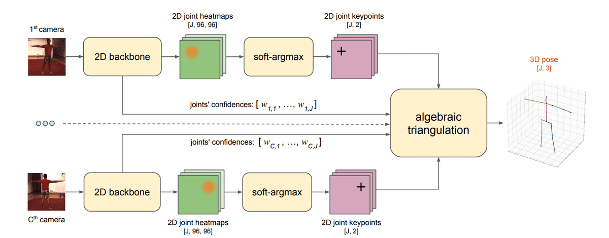 algebraic-triangulation